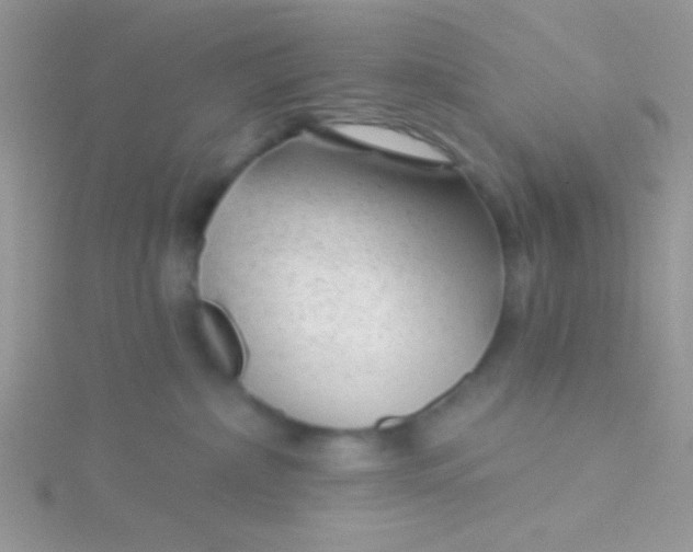X0000115290236200911231255