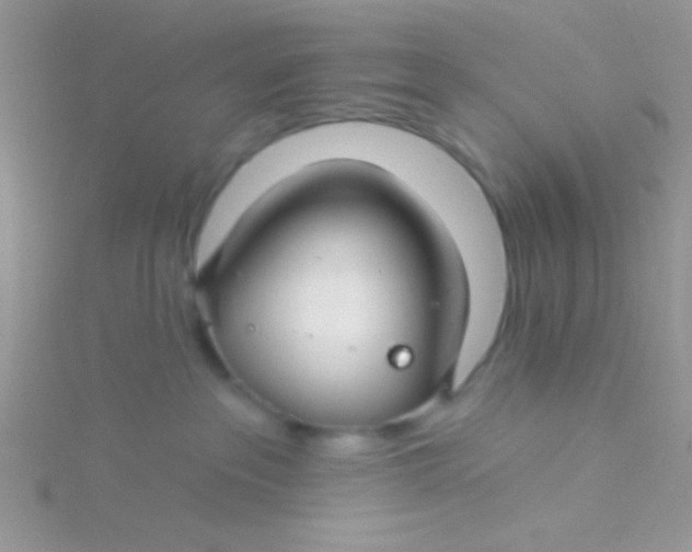 X0000115290237200911231255