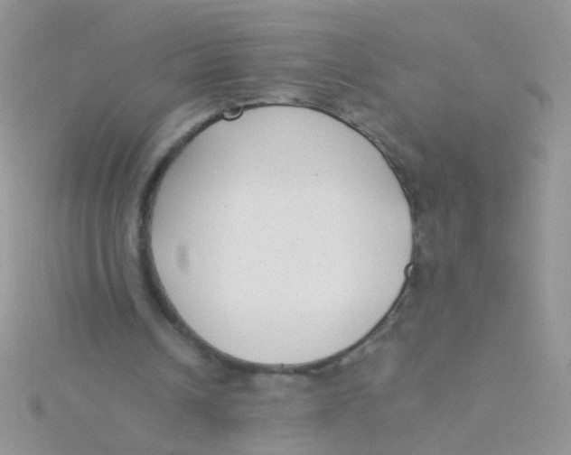X0000115290242200911231254