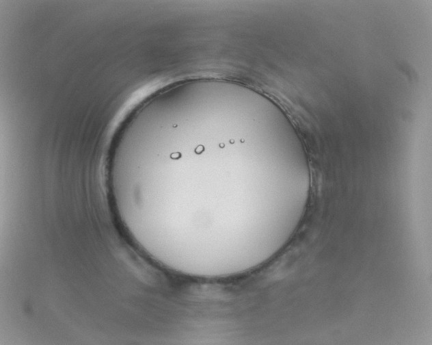 X0000115290244200911231254