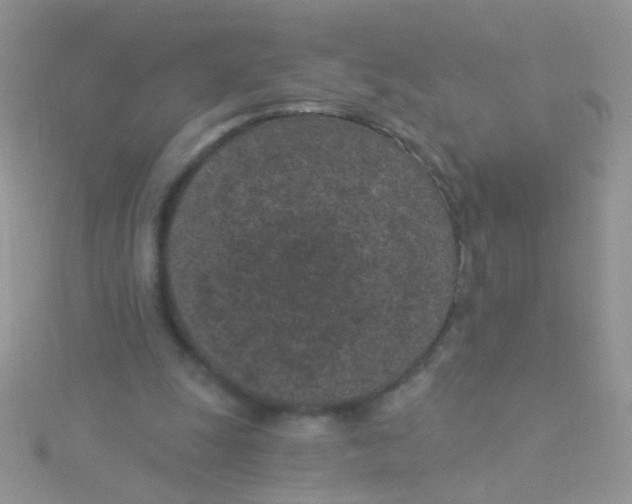 X0000115290247200911231254