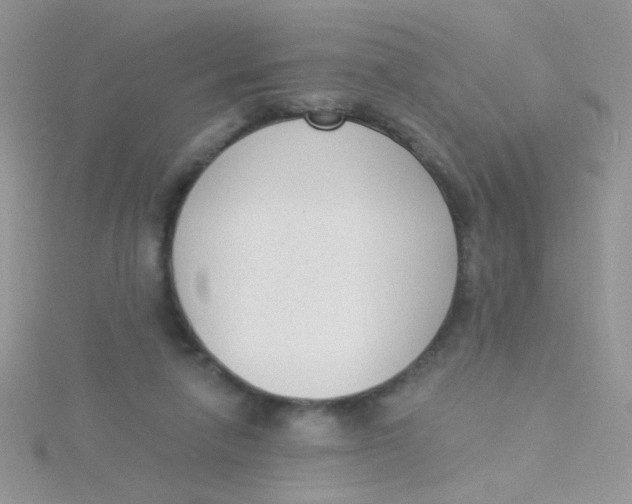 X0000115290258200911231254