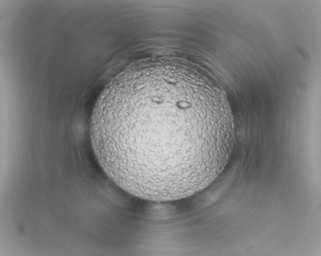 X0000115290277200911231255