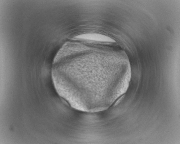 X0000115290284200911231255
