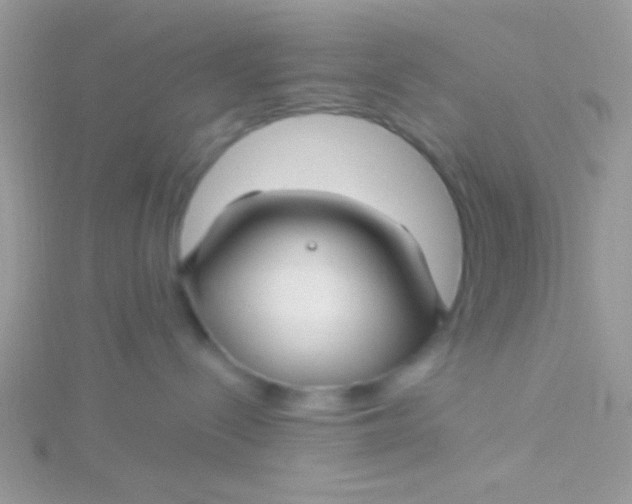 X0000115290288200911231255