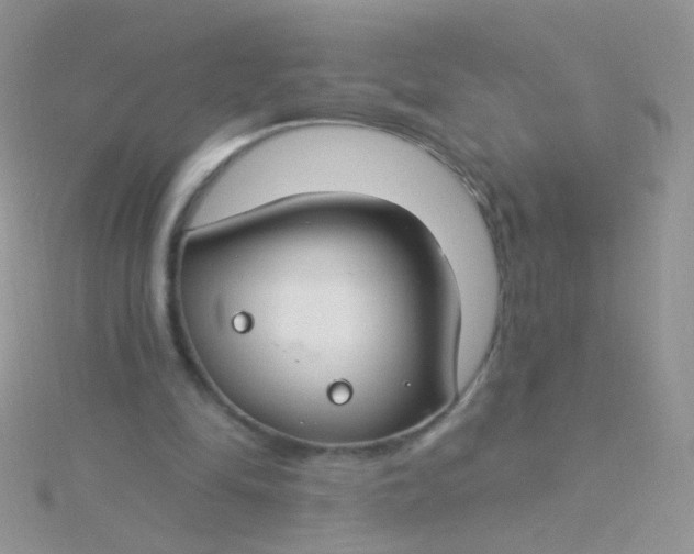 X0000115290294200911231254