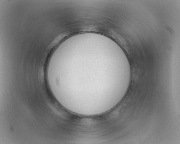 X0000115290298200911231254