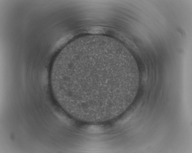 X0000115290303200911231254