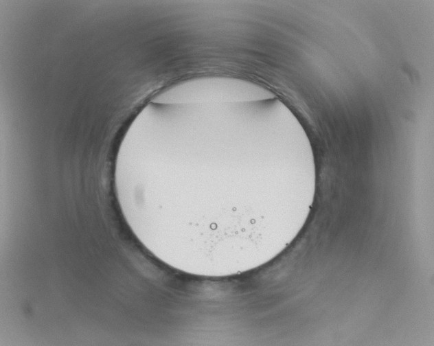 X0000115290305200911231254