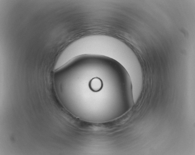 X0000115290317200911231254