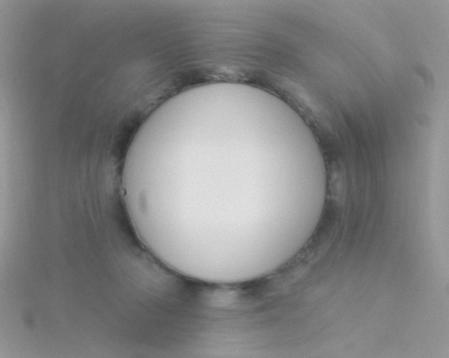 X0000115290318200911231254