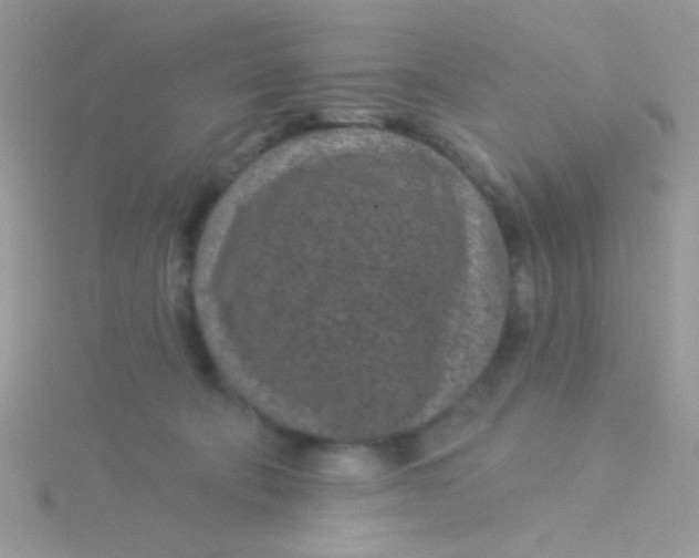 X0000115290322200911231254