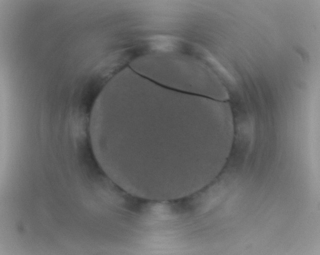 X0000115290325200911231254