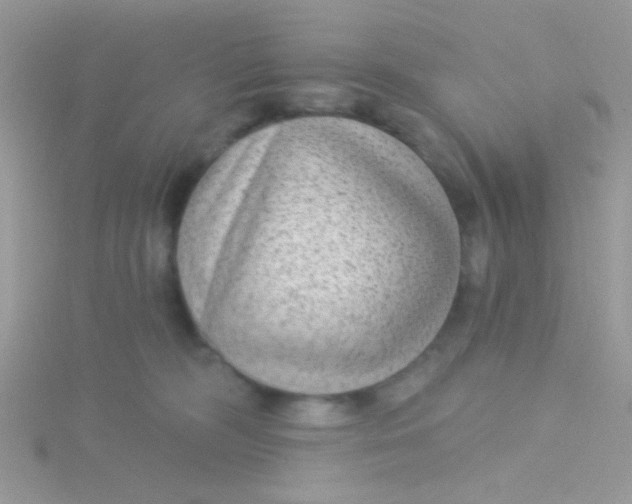 X0000115290326200911231254
