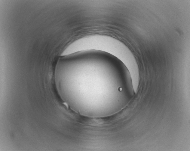 X0000115290328200911231254