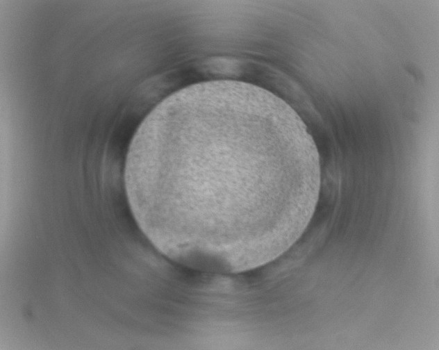 X0000115290330200911231254