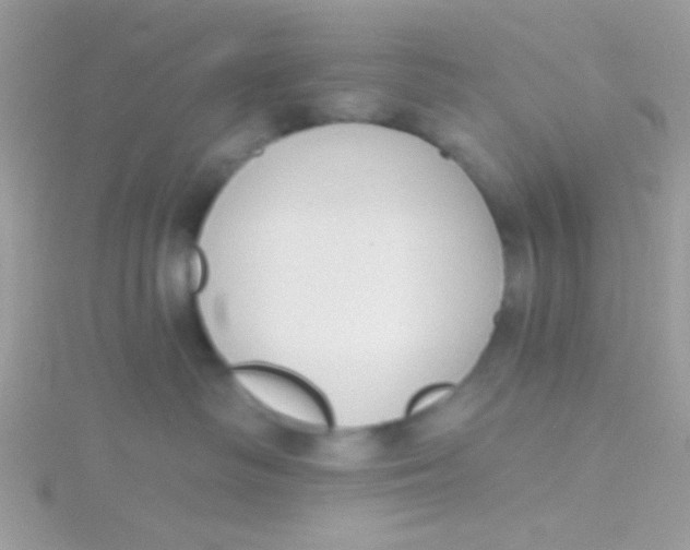 X0000115290334200911231254