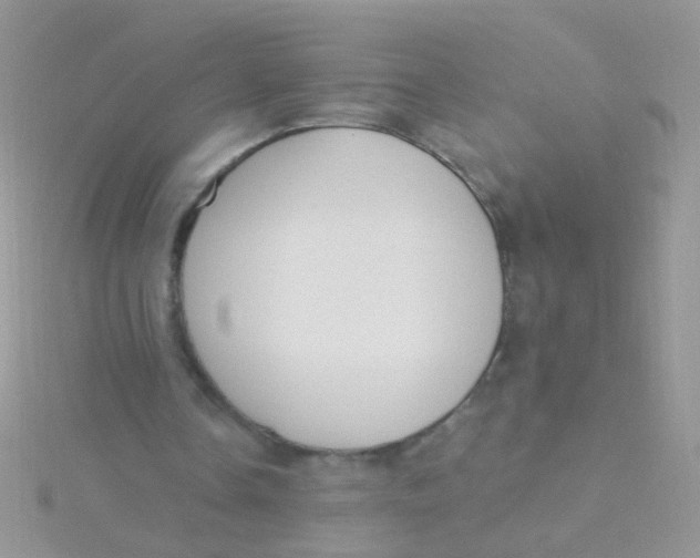 X0000115290338200911231253