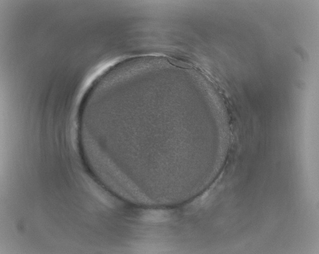 X0000115290342200911231253