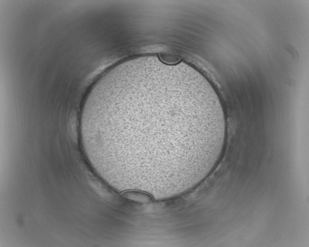 X0000115290345200911231253