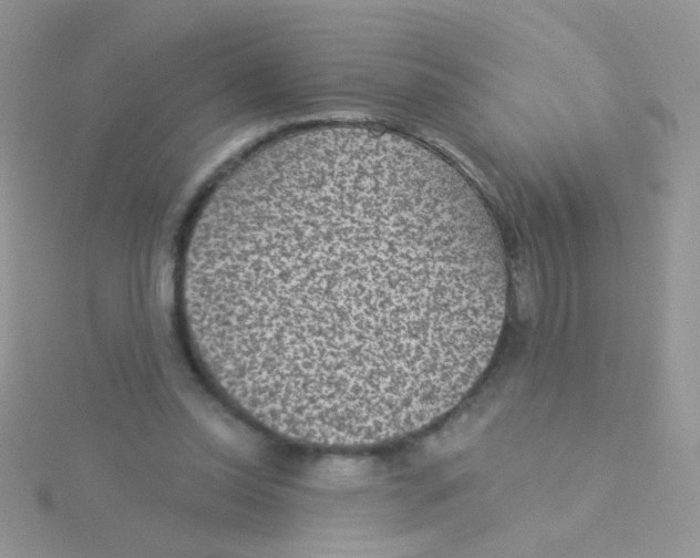 X0000115290350200911231253