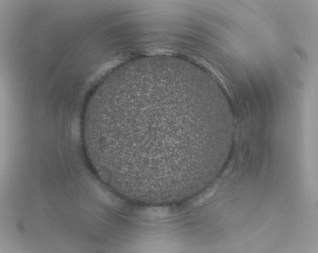 X0000115290353200911231253