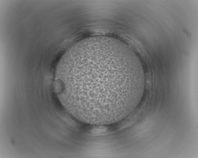 X0000115290369200911231253