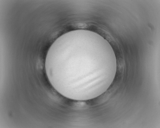 X0000115290374200911231253