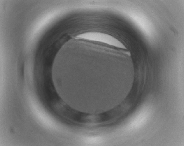 X0000115290383200911231254