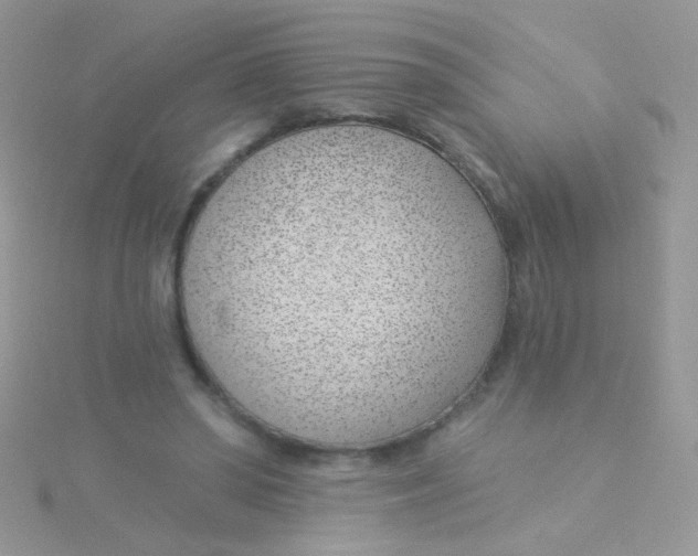 X0000115290398200911231253
