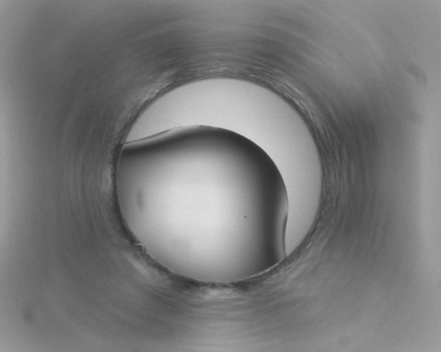 X0000115290401200911231253