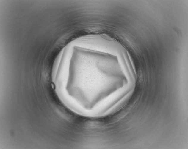 X0000115290408200911231253