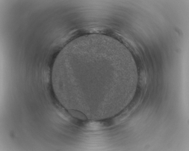 X0000115290413200911231253