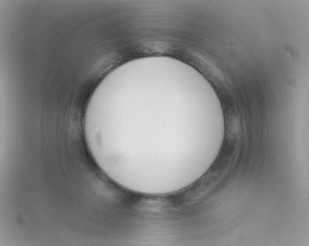 X0000115290414200911231253