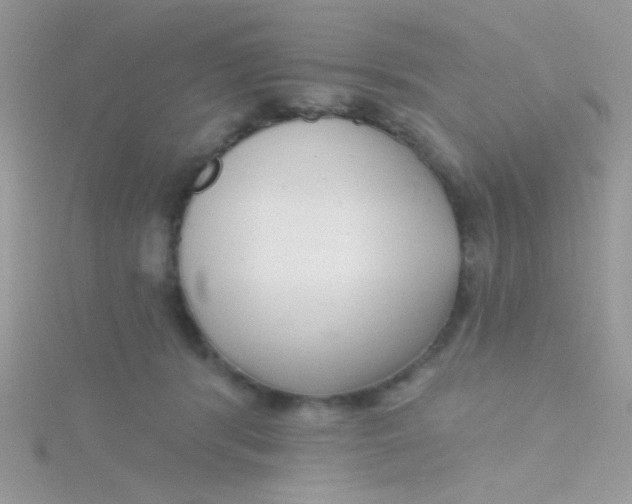 X0000115290416200911231253