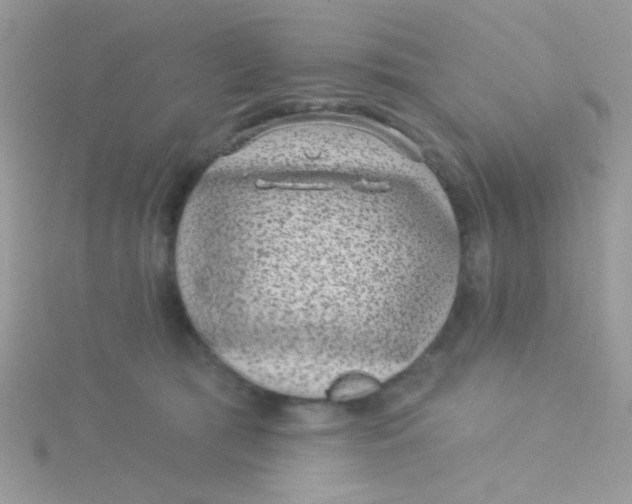 X0000115290417200911231253