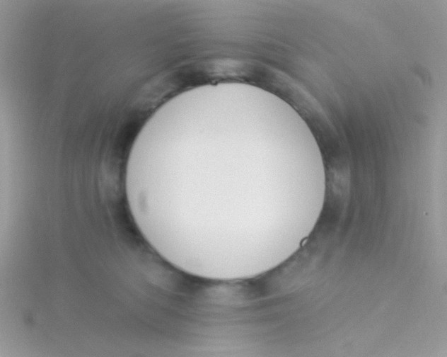 X0000115290422200911231252