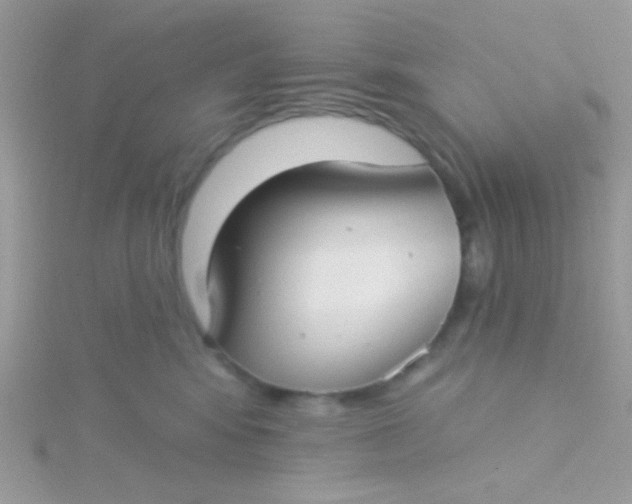 X0000115290424200911231252