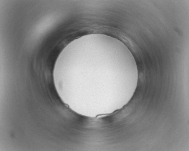 X0000115290429200911231252