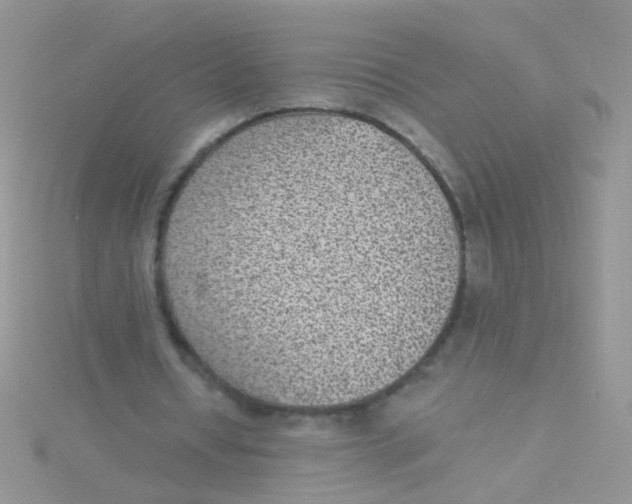 X0000115290434200911231252