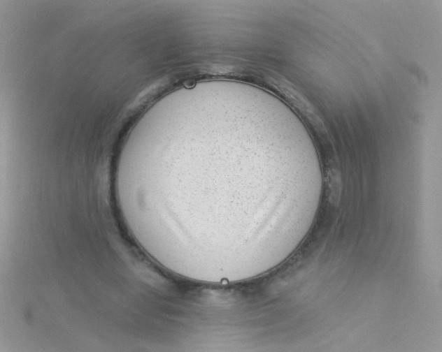 X0000115290442200911231252