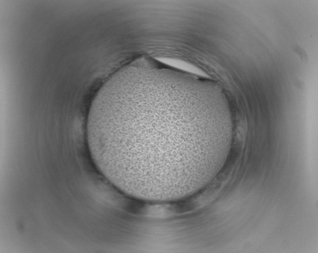 X0000115290461200911231252