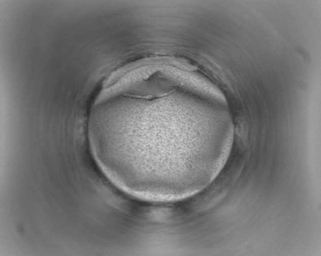X0000115290462200911231252