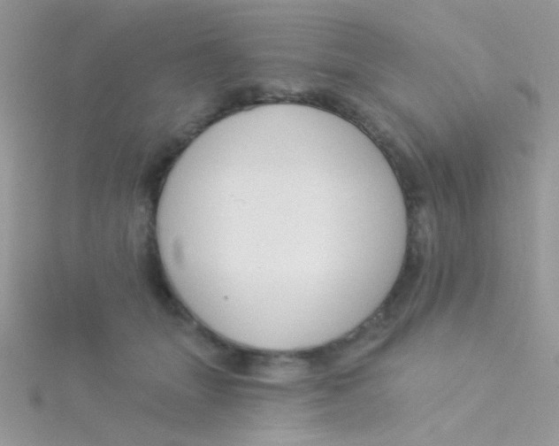 X0000115290463200911231252