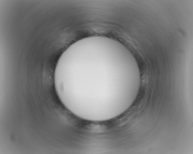 X0000115290464200911231252