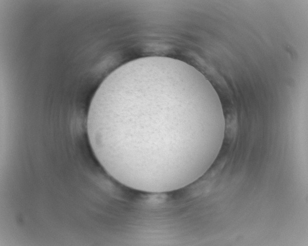 X0000115290474200911231252