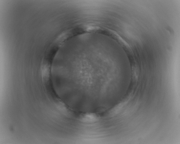 X0000115290475200911231252