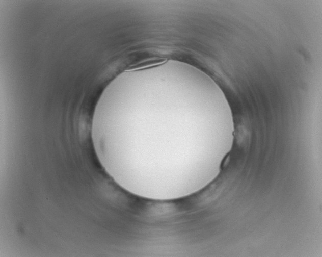 X0000115290476200911231252
