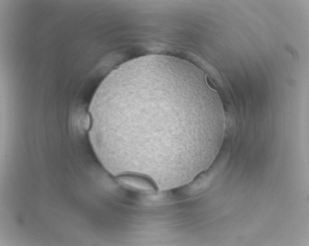 X0000115290479200911231252
