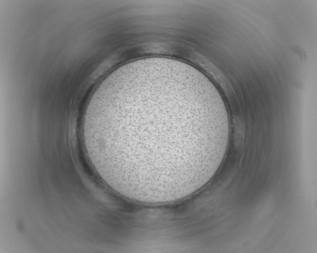 X0000115290482200911231251